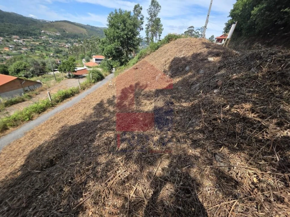 Terreno para Venda em Pico de Regalados, Gondiães e Mós Foto 16
