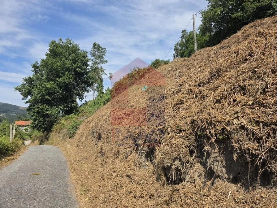 Terreno para Venda em Pico de Regalados, Gondiães e Mós Foto 30
