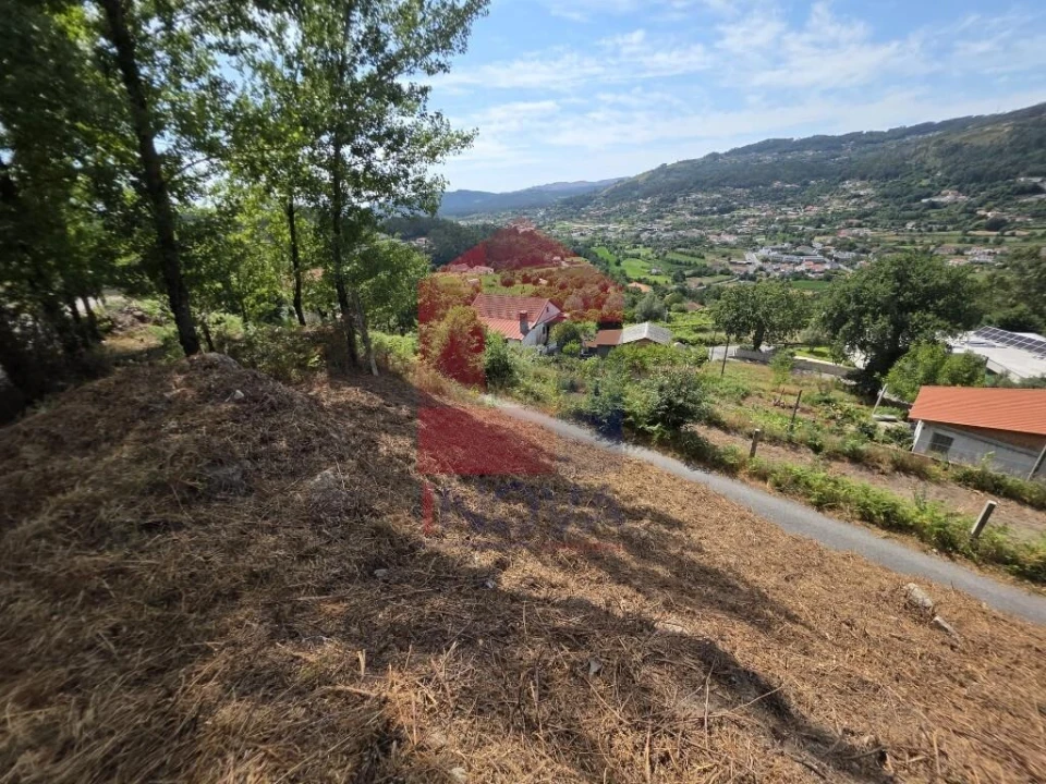 Terreno para Venda em Pico de Regalados, Gondiães e Mós Foto 13