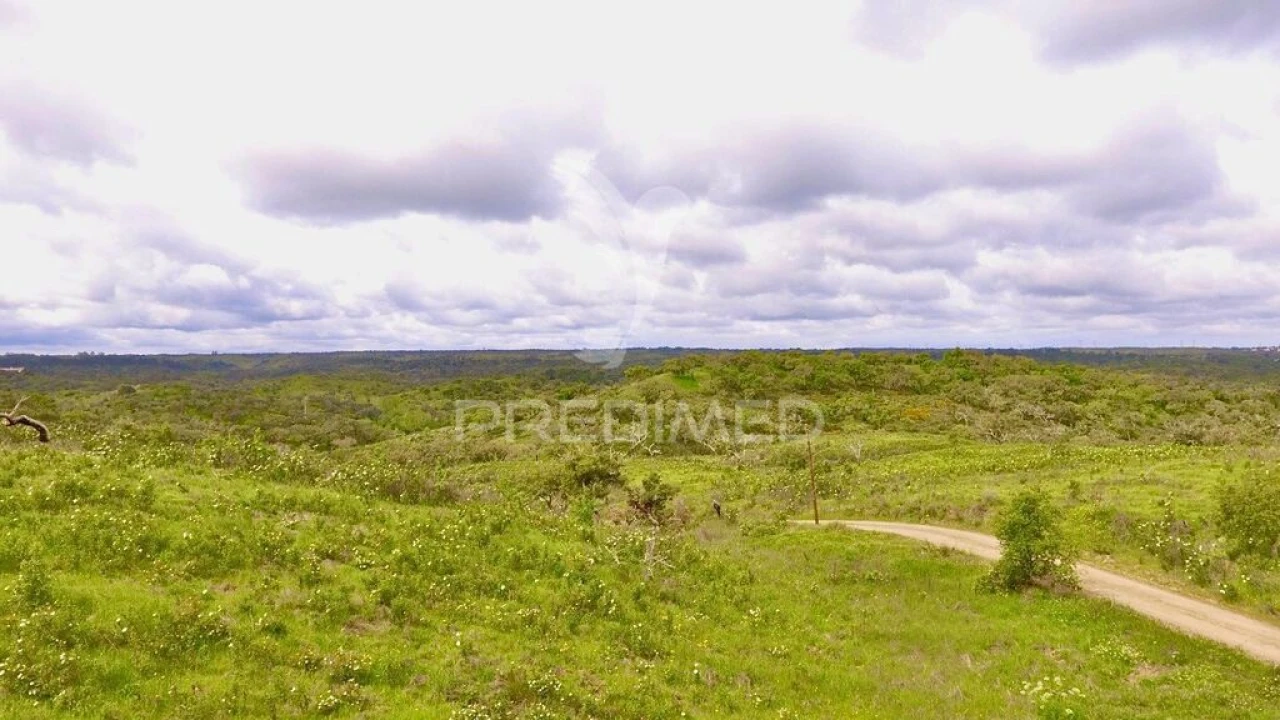 Terreno para Venda em Grândola e Santa Margarida da Serra Foto 12