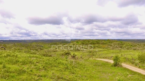 Terreno para Venda em Grândola e Santa Margarida da Serra