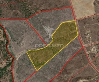 Terreno para Venda em Grândola e Santa Margarida da Serra