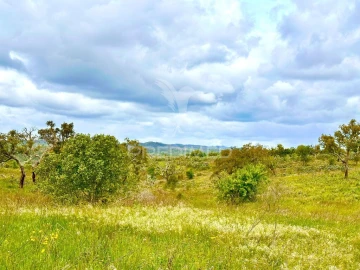 Terreno para Venda em Grândola e Santa Margarida da Serra