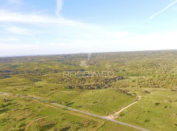 Terreno para Venda em Grândola e Santa Margarida da Serra