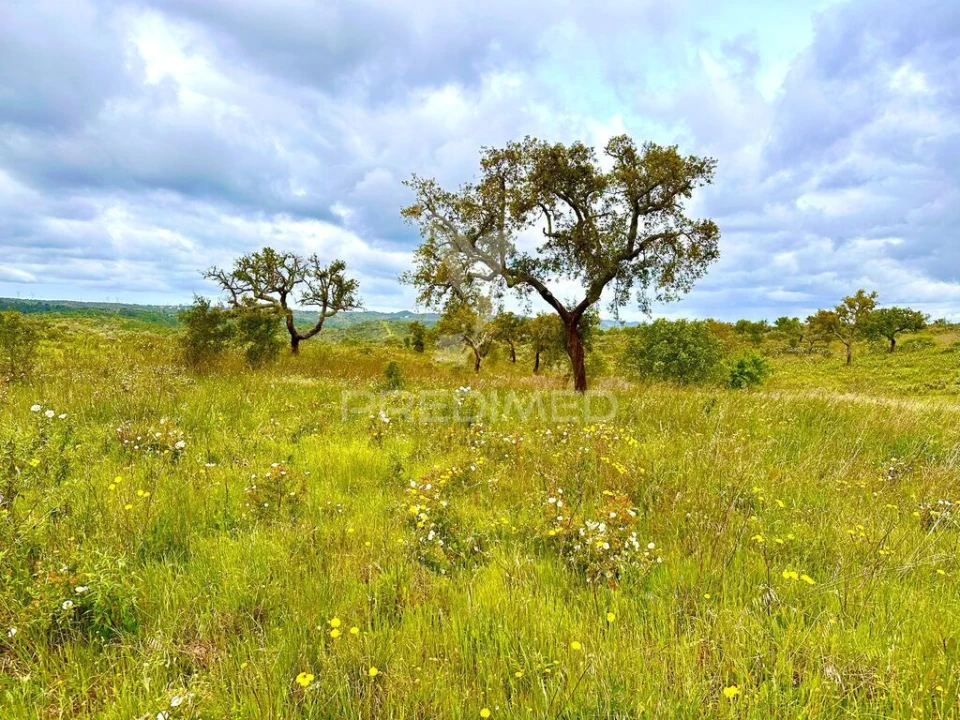 Terreno para Venda em Grândola e Santa Margarida da Serra Foto 14