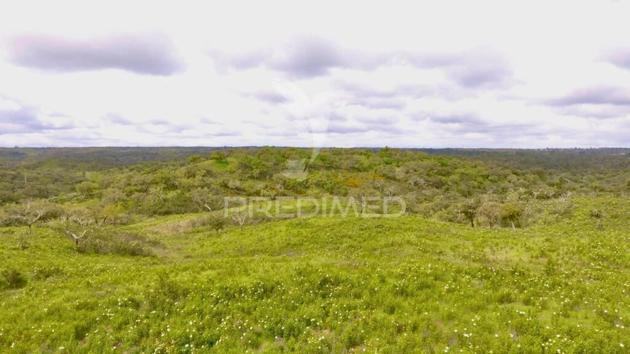 Terreno para Venda em Grândola e Santa Margarida da Serra Foto 4