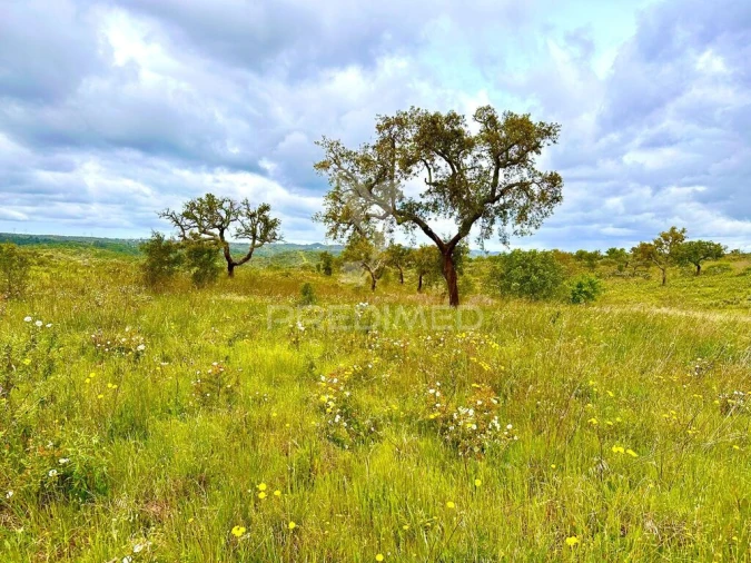 Terreno para Venda em Grândola e Santa Margarida da Serra Foto 14
