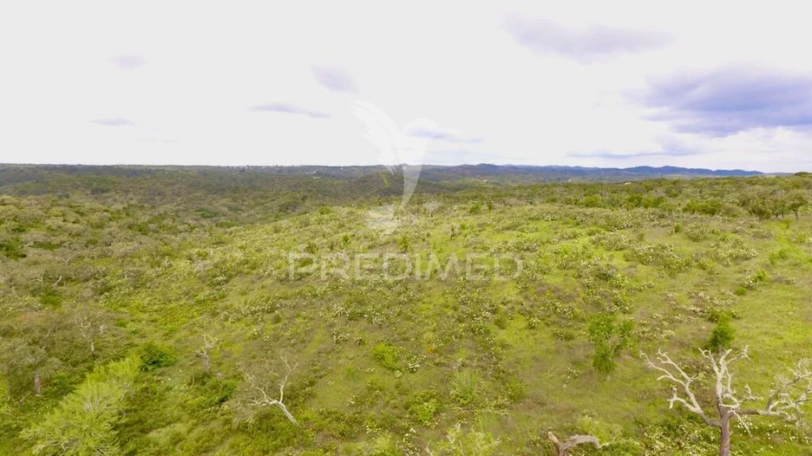 Terreno para Venda em Grândola e Santa Margarida da Serra Foto 5