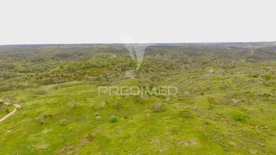Terreno para Venda em Grândola e Santa Margarida da Serra Foto 9
