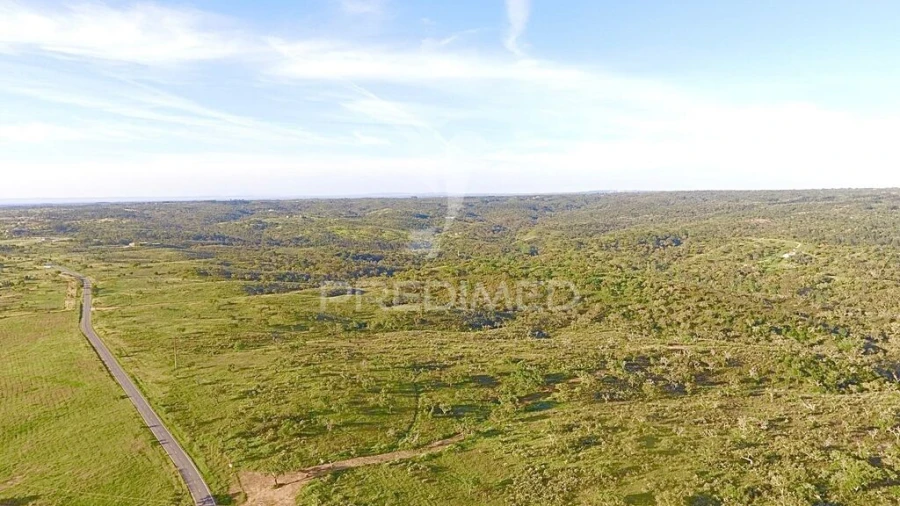 Terreno para Venda em Grândola e Santa Margarida da Serra Foto 14