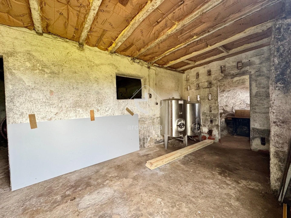 Moradia T3 para Venda em São Jorge e Ermelo Foto 50