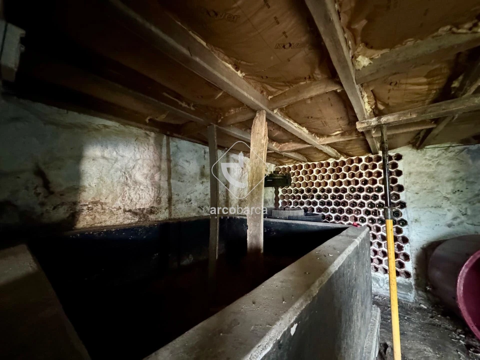 Moradia T3 para Venda em São Jorge e Ermelo Foto 54