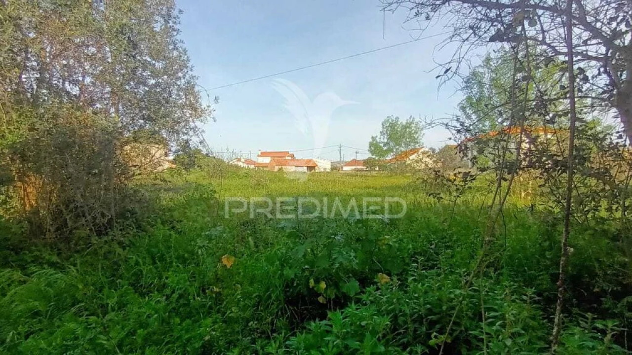 Terreno para Venda em Arrimal e Mendiga Foto 9