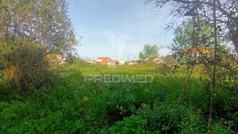Terreno para Venda em Arrimal e Mendiga
