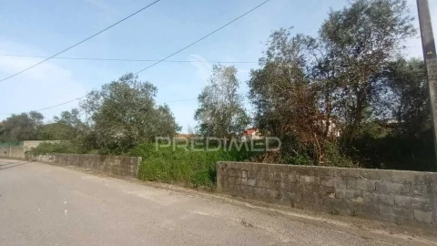 Terreno para Venda em Arrimal e Mendiga