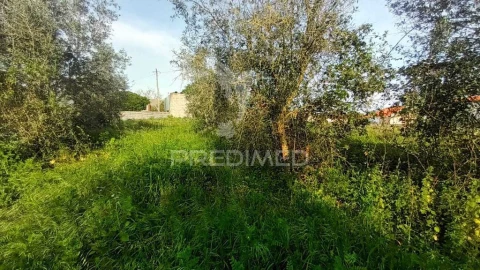 Terreno para Venda em Arrimal e Mendiga