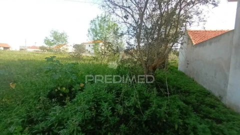 Terreno para Venda em Arrimal e Mendiga