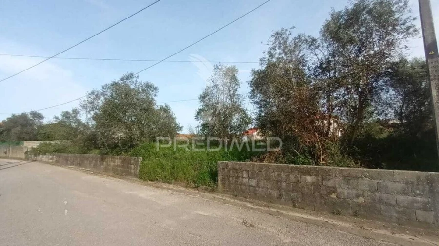 Terreno para Venda em Arrimal e Mendiga Foto 5