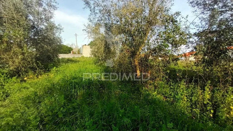 Terreno para Venda em Arrimal e Mendiga Foto 7