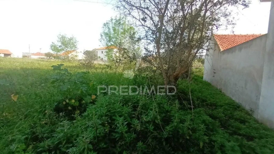 Terreno para Venda em Arrimal e Mendiga Foto 8