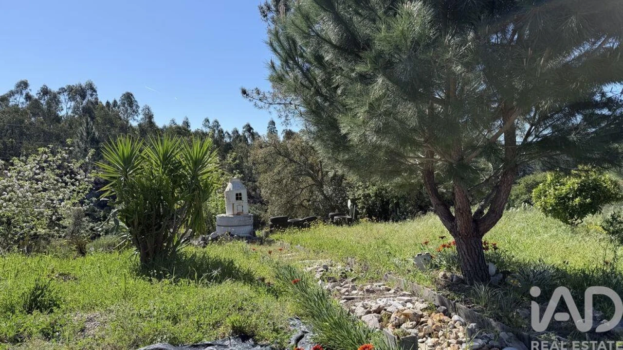 Terreno para Venda em Amiais de Baixo Foto 12
