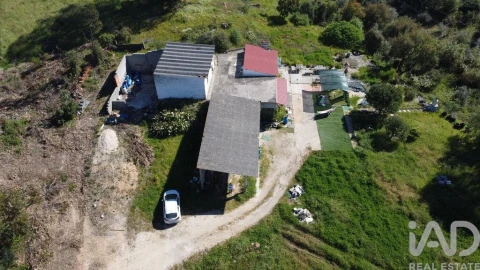 Terreno para Venda em Amiais de Baixo