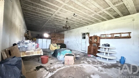 Terreno para Venda em Amiais de Baixo