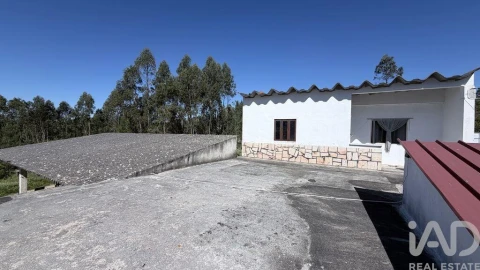 Terreno para Venda em Amiais de Baixo