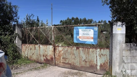 Terreno para Venda em Amiais de Baixo