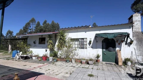 Terreno para Venda em Amiais de Baixo