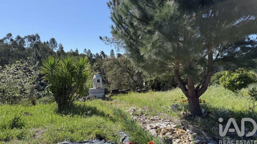 Terreno para Venda em Amiais de Baixo Foto 12
