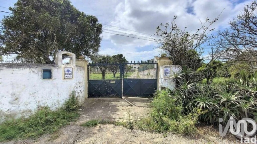 Quinta T4 para Venda em Alcantarilha e Pêra Foto 23