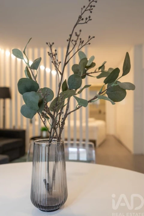 Apartamento T1 para Venda em Santa Maria Maior