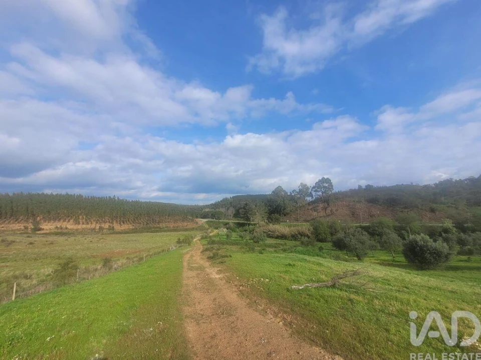 Quinta T2 para Venda em São Teotónio Foto 3