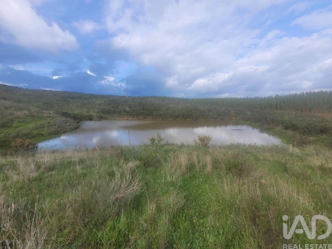 Quinta T2 para Venda em São Teotónio Foto 15