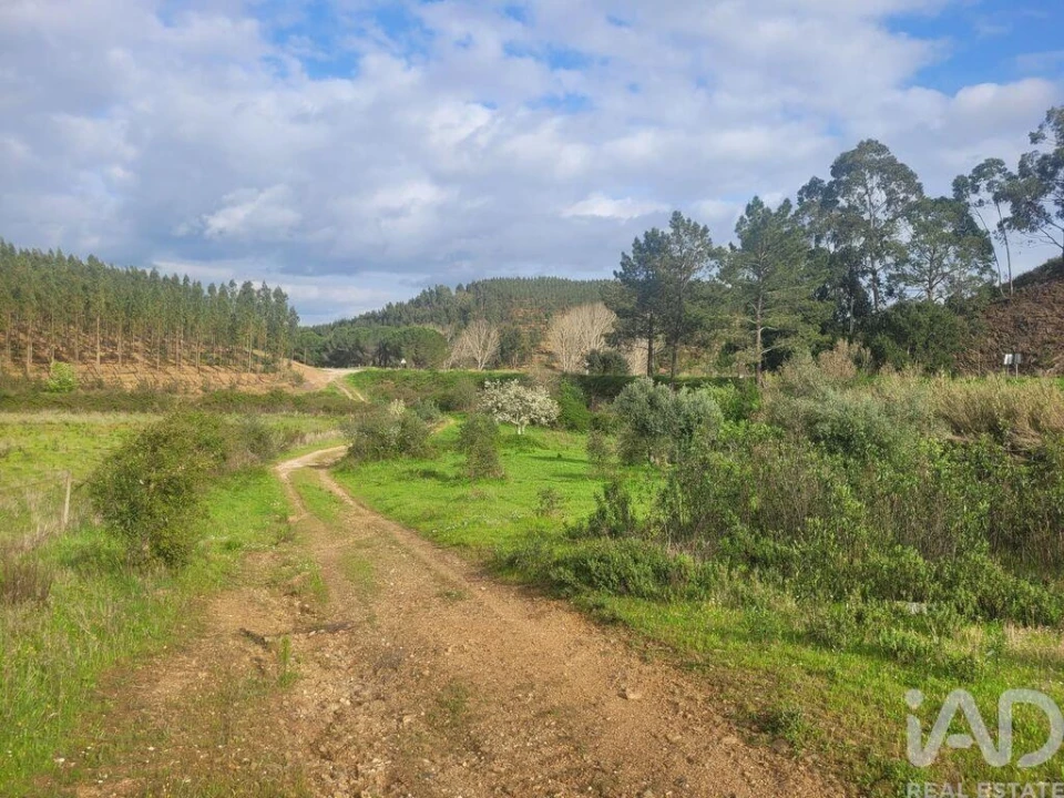 Quinta T2 para Venda em São Teotónio Foto 2