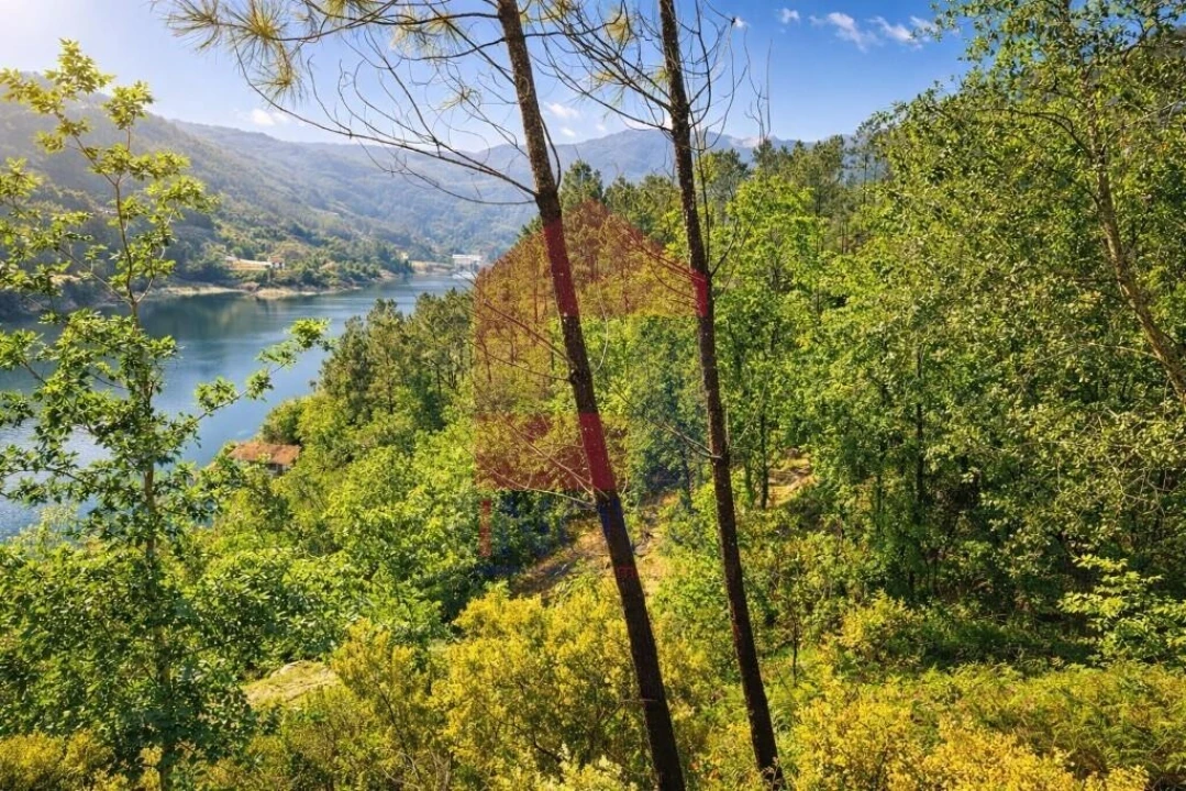 Terreno para Venda em Vilar da Veiga Foto 16
