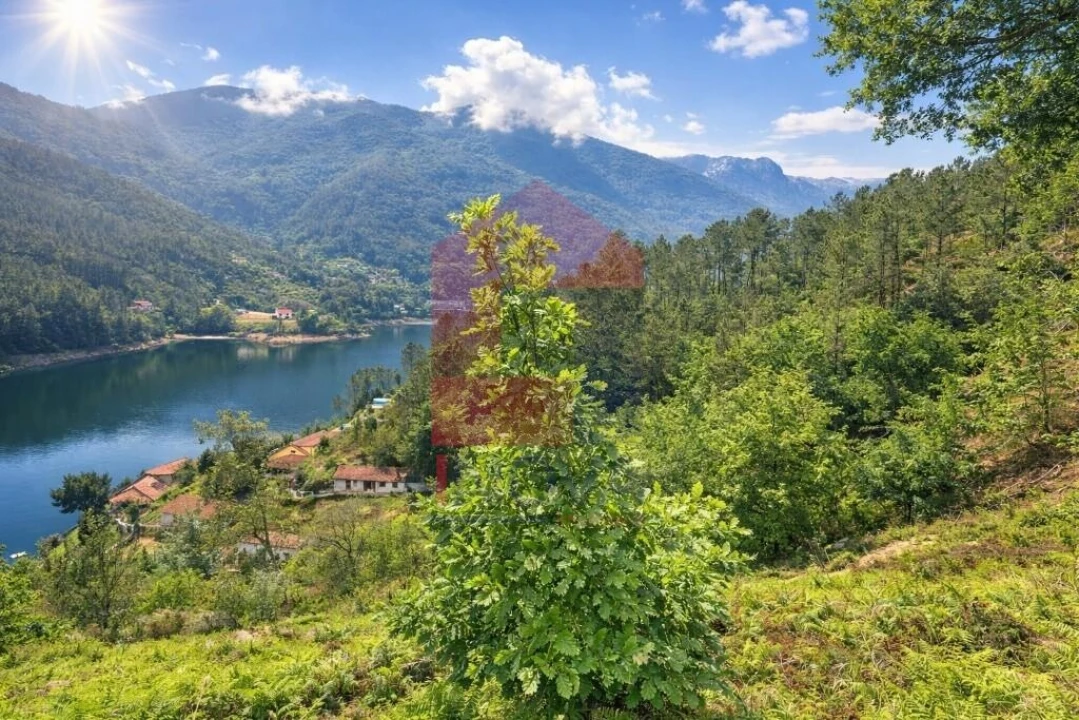 Terreno para Venda em Vilar da Veiga Foto 5