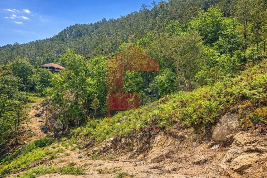 Terreno para Venda em Vilar da Veiga Foto 9