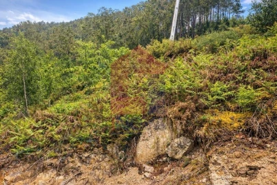 Terreno para Venda em Vilar da Veiga