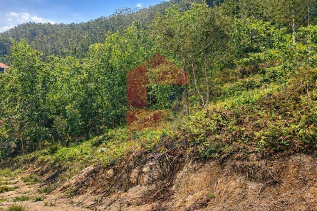 Terreno para Venda em Vilar da Veiga Foto 7