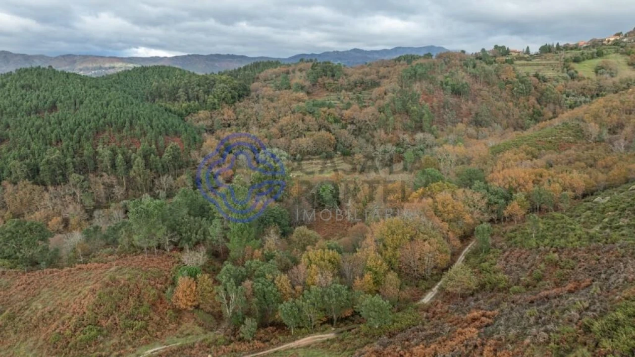 Terreno para Venda em Chorense e Monte Foto 3
