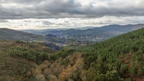 Terreno para Venda em Chorense e Monte