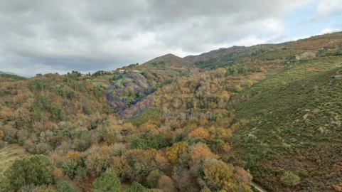 Terreno para Venda em Chorense e Monte