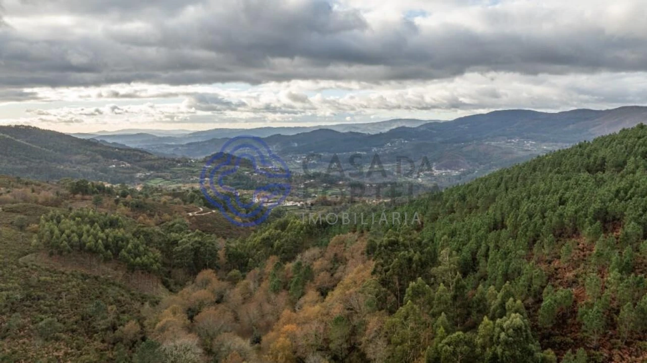 Terreno para Venda em Chorense e Monte Foto 7