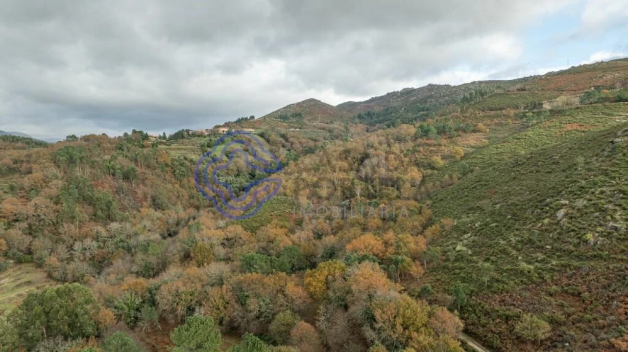 Terreno para Venda em Chorense e Monte Foto 4