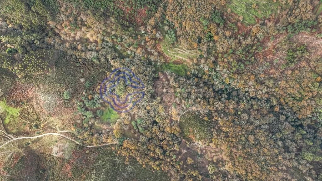 Terreno para Venda em Chorense e Monte Foto 1