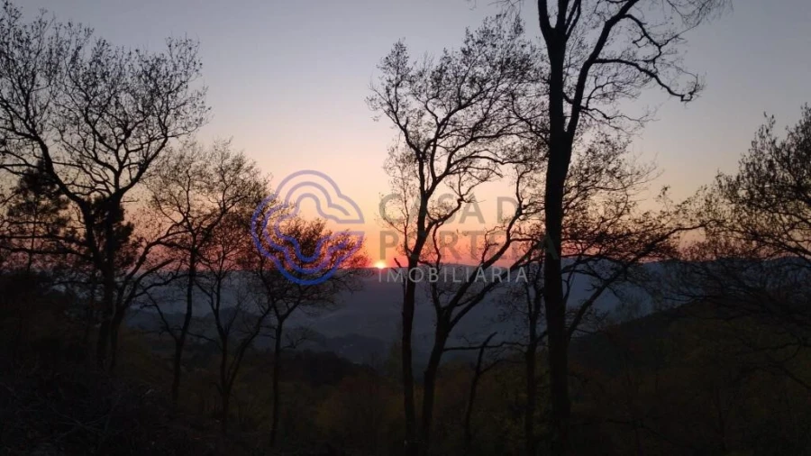 Terreno para Venda em Chorense e Monte Foto 10