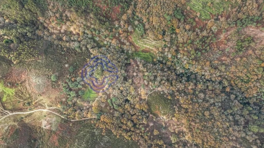 Terreno para Venda em Chorense e Monte