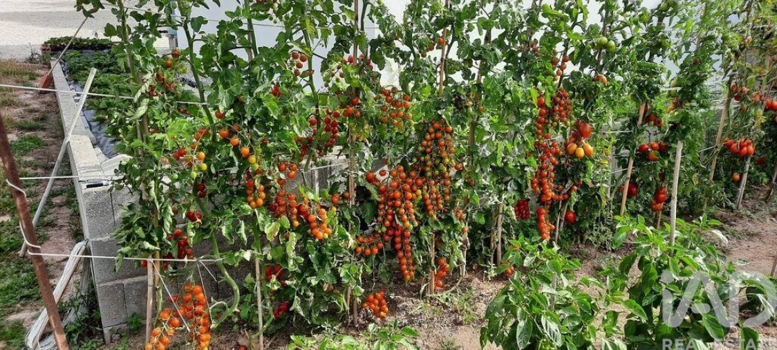 Moradia T4 para Venda em A dos Cunhados e Maceira Foto 29